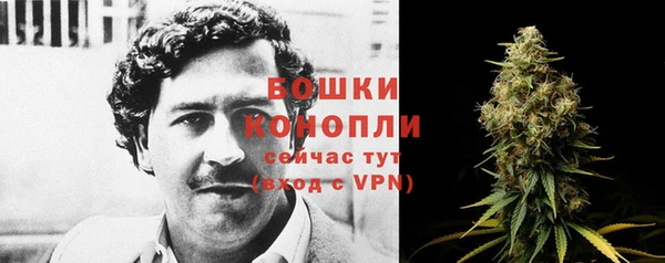 ECSTASY Бородино
