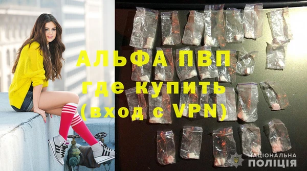 ECSTASY Бородино