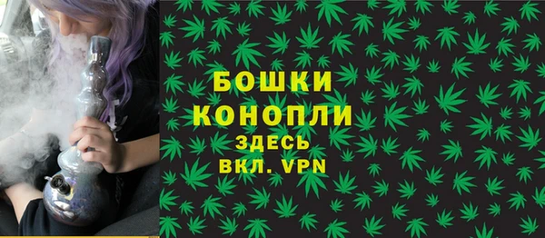 прущие крисы Богданович