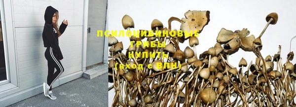 mdpv Бугульма