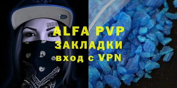 ECSTASY Бородино