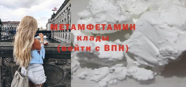 гидра Богородск