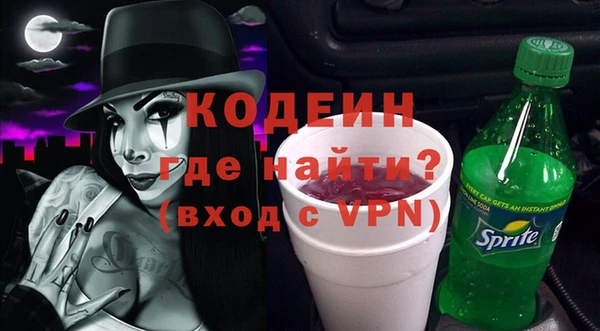 ECSTASY Бородино