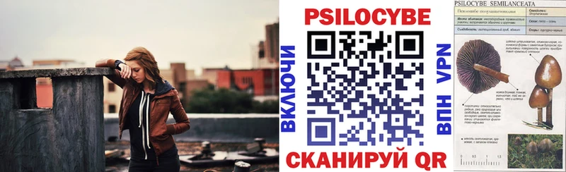 Галлюциногенные грибы прущие грибы  купить наркотики сайты  Ершов 
