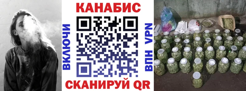 Канабис планчик  купить   Ершов 